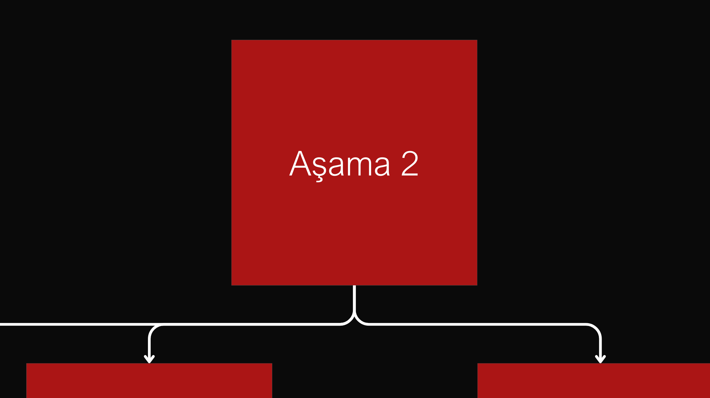 Aşama 2 - Uygulama ve Derinleşme