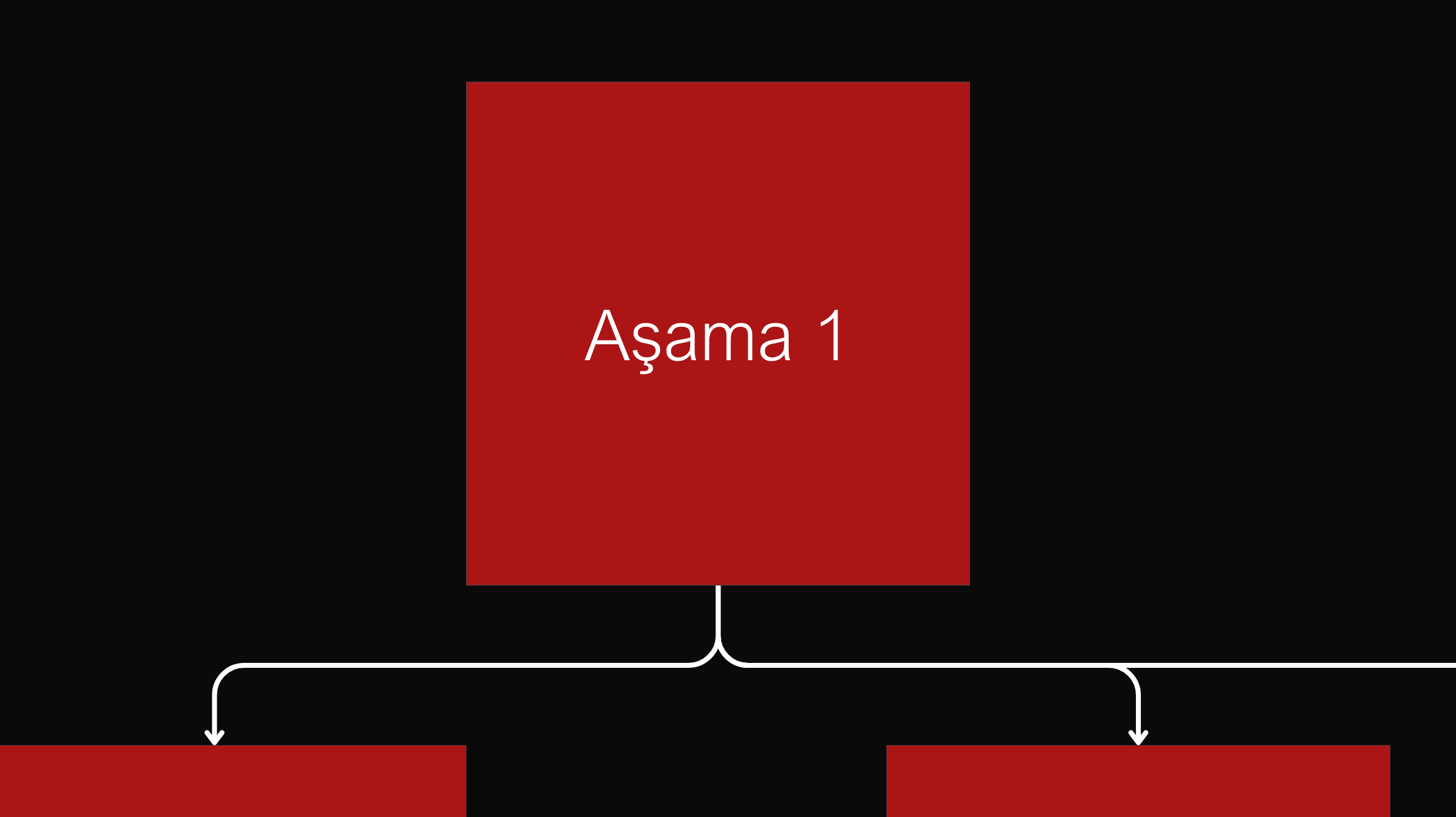 Aşama 1 - Zemin Hazırlığı